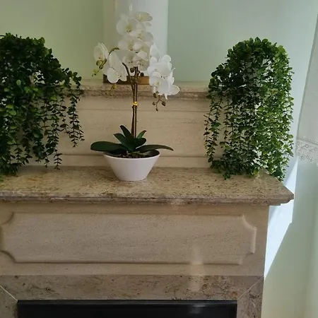 公寓 Casa Anjos 科英布拉