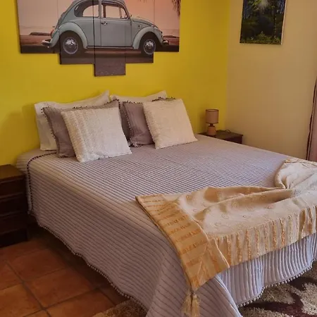 Casa Anjos 公寓 科英布拉