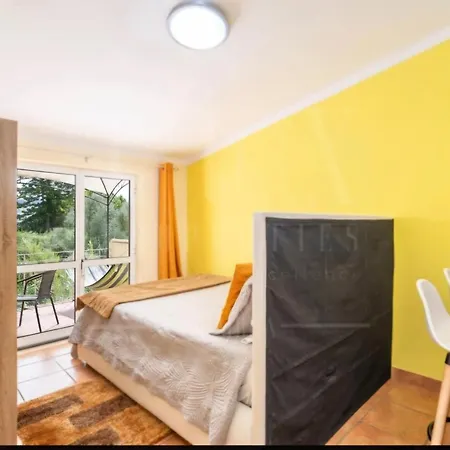 Casa Anjos 公寓 科英布拉