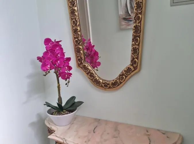 Casa Anjos كويمبرا