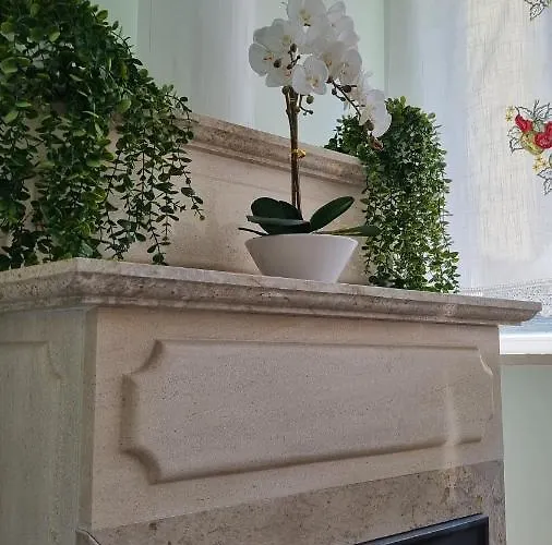 Casa Anjos كويمبرا